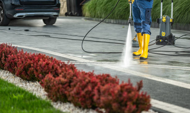 Best Patio and Deck Pressure Washing  in Scappoose, OR